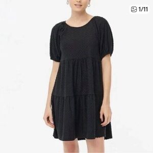 J.Crew Textured Clip Dot Dress